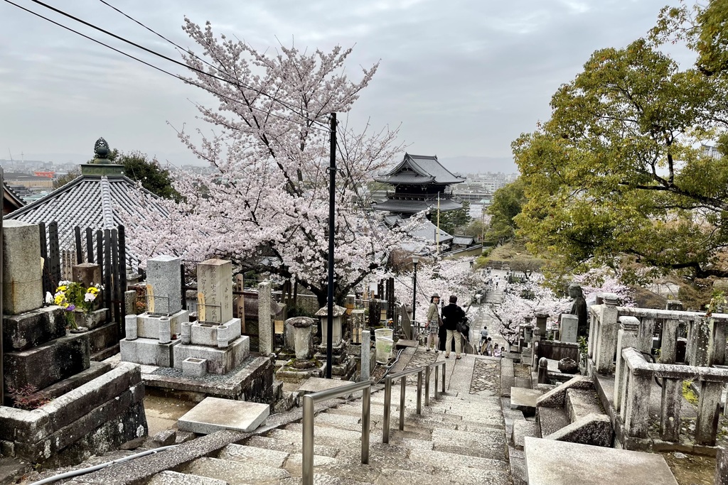 20230325左京区31