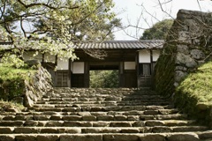 20070328朝倉市32