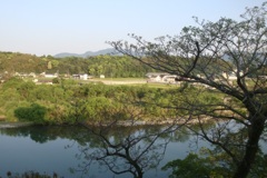 20090501宇佐市02