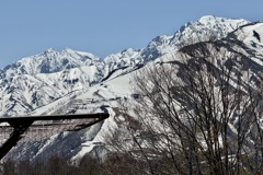 20250508白馬村17