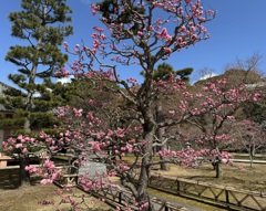 20240309東山区11