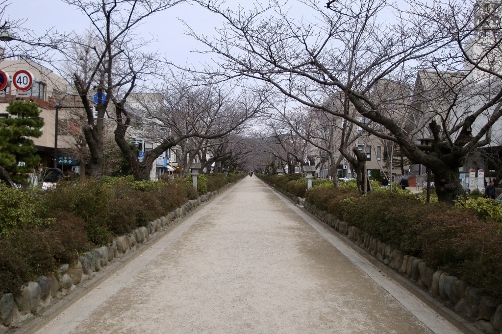 20090313鎌倉市18