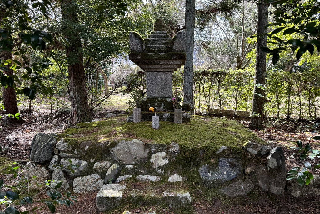 20240310右京区04
