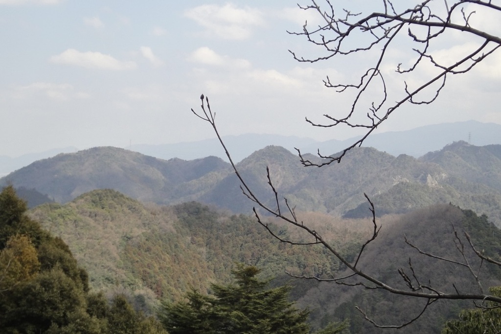 20110313和泉市15