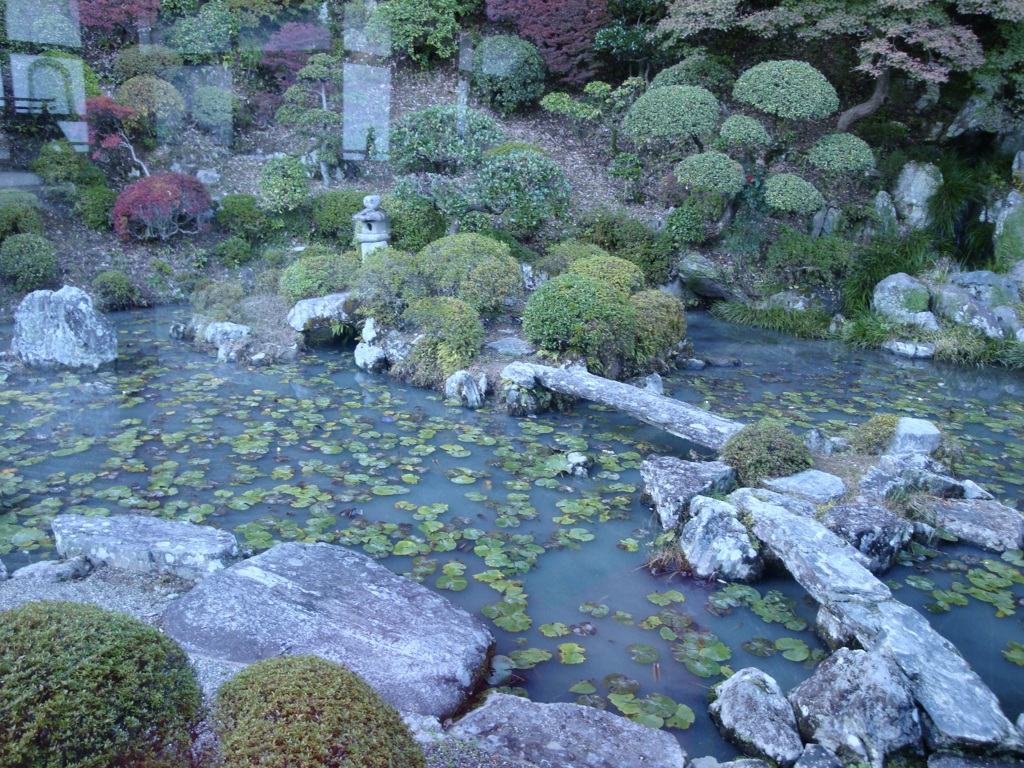 20091114岩出市07
