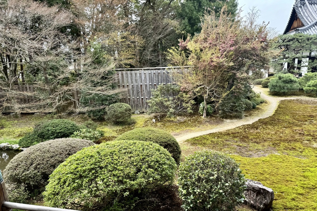 20240402山科区20