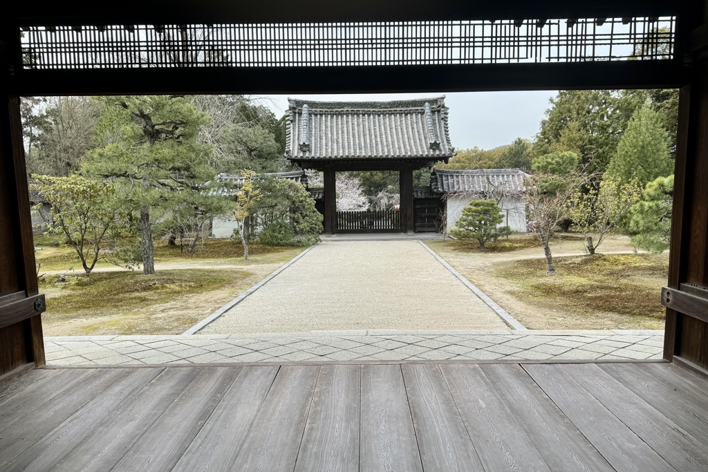 20240402山科区13