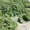 20170830名古屋市中区05