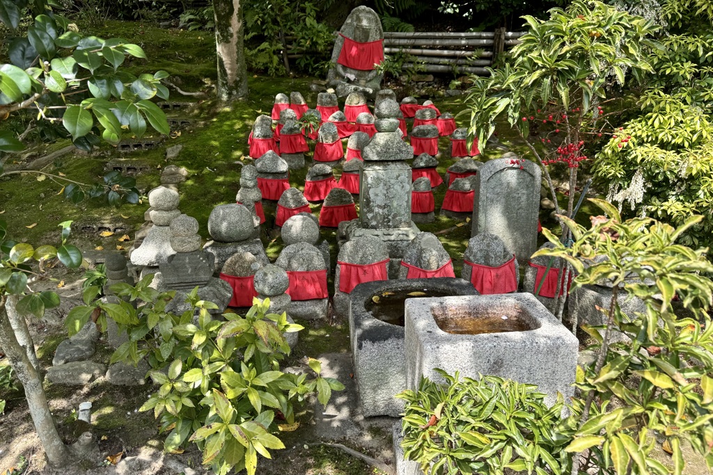 20240415右京区04