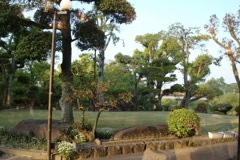 20090501宇佐市03