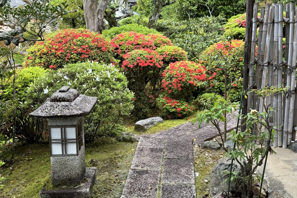 20240427西京区07