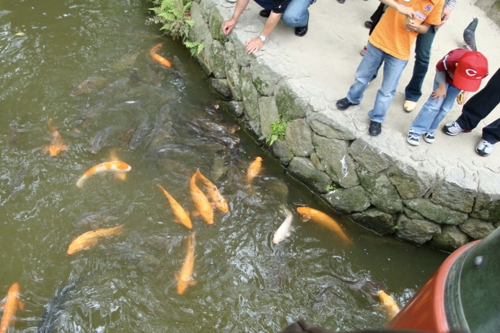 20090503太宰府市10