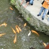 20090503太宰府市10