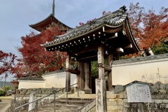 20191124左京区21