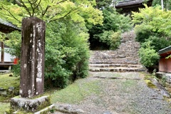 20200827右京区01