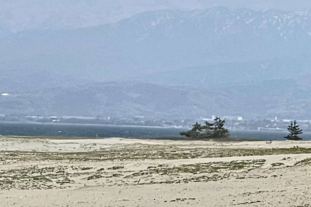 20210420富山市03