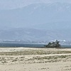 20210420富山市03