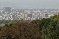 20041101東山区05