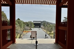 20240330右京区13