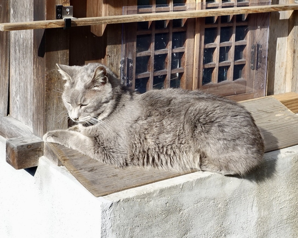 20150118奈良市01