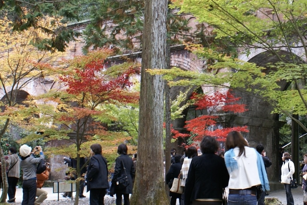20071123左京区21