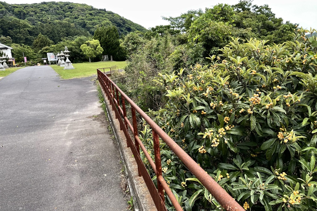 20210608出雲市06