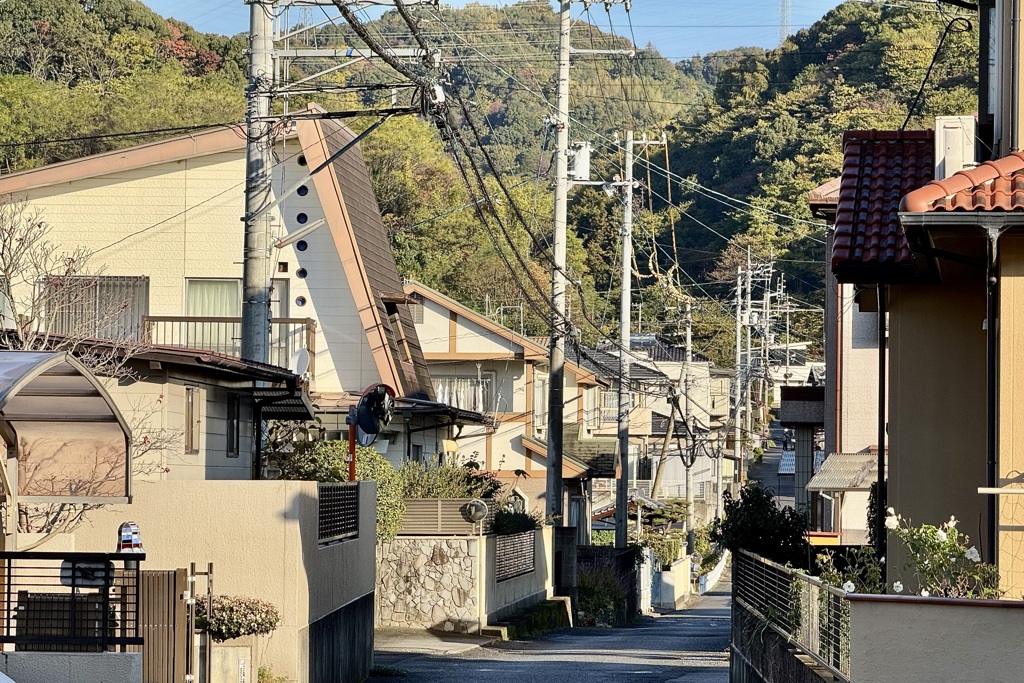 20241202松山市20