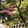 20210419小松市12