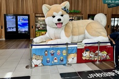 20240519秋田市05