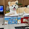 20240519秋田市05