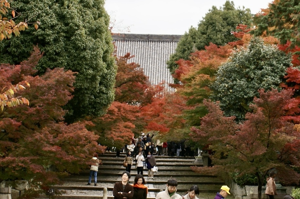 20071123左京区04