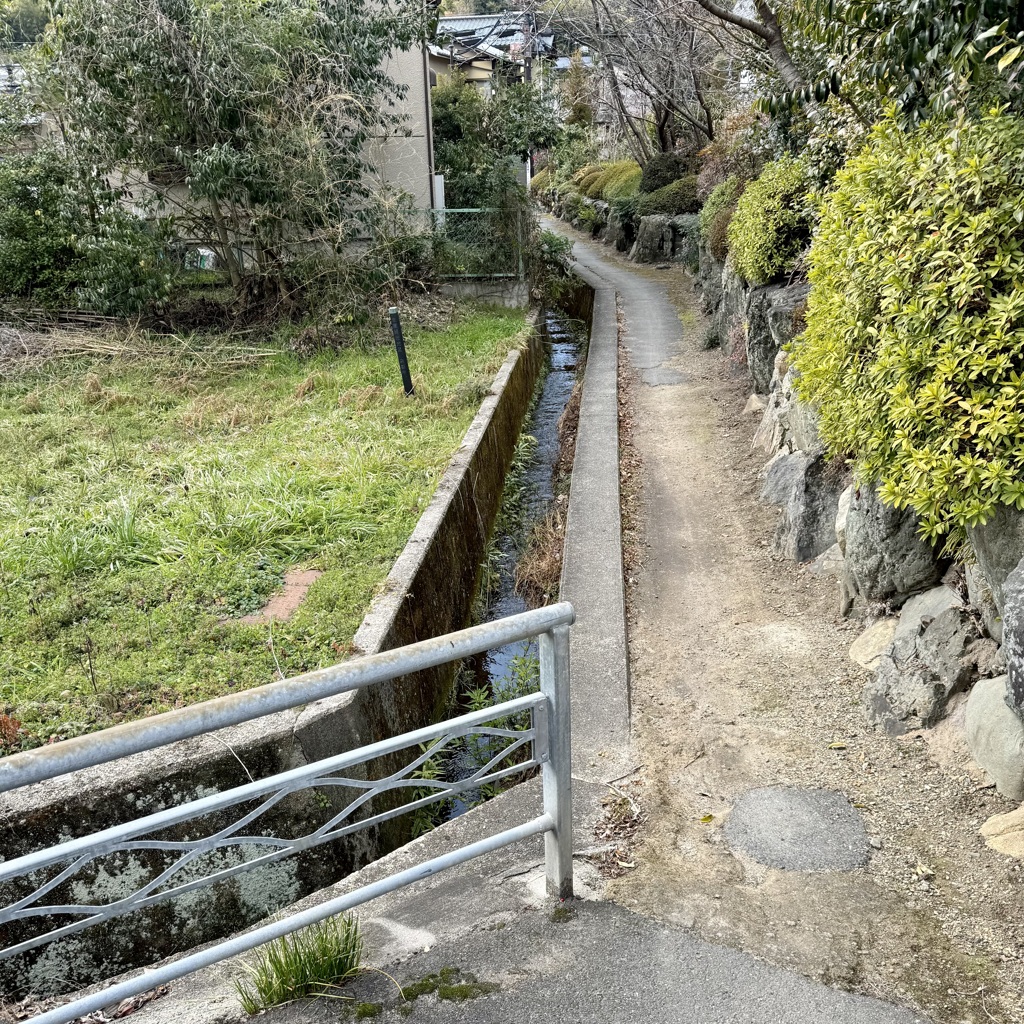 20240210右京区01