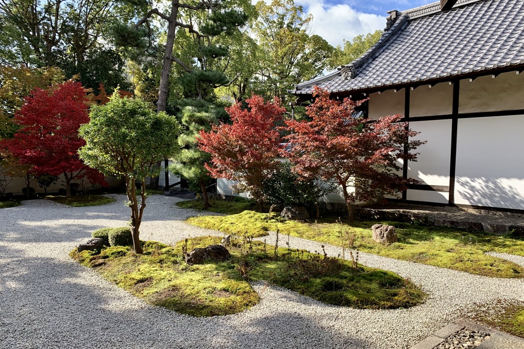 20191121上京区07