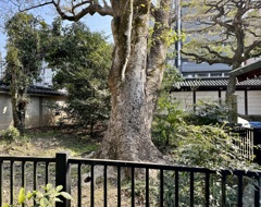 20240316上京区10