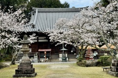 20240404木津川市17