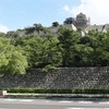 20110910丸亀市12