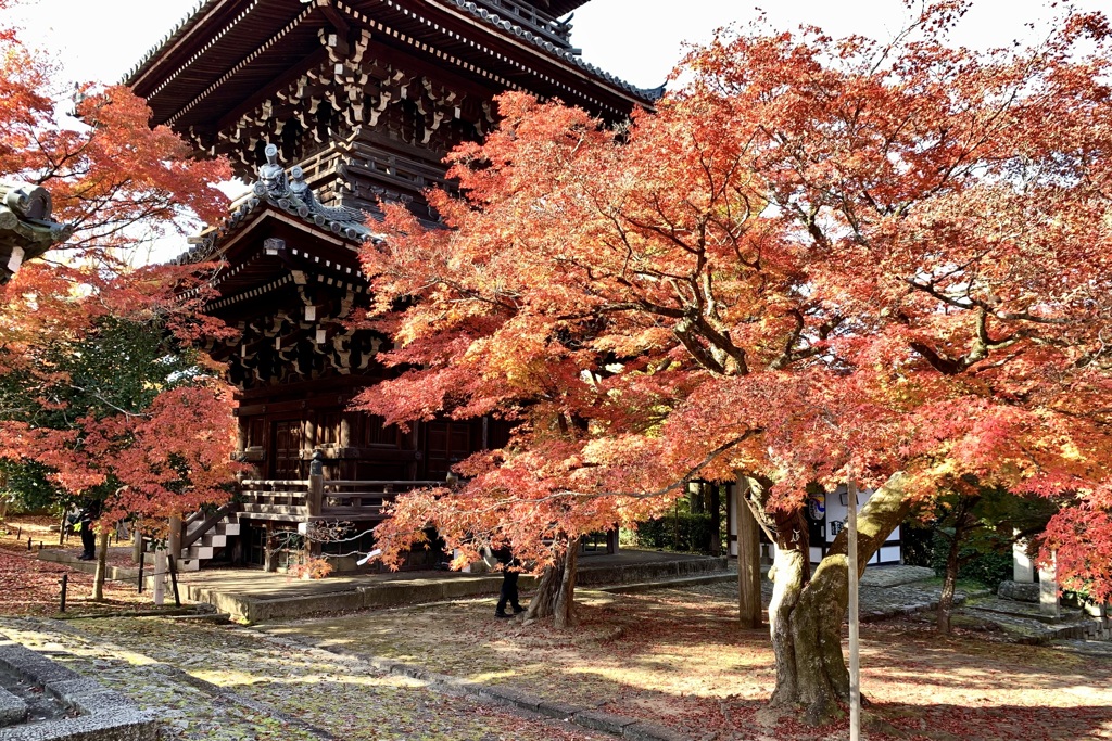 20201118左京区05