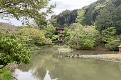 20190424木津川市05