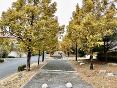 20211109安芸区01