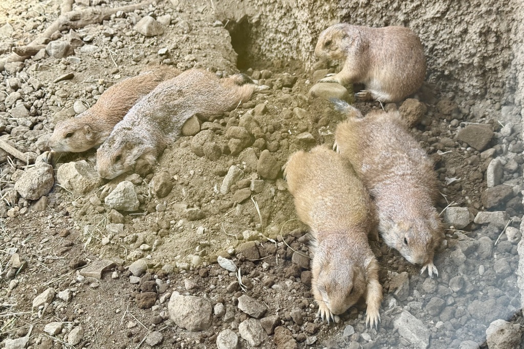 20250704那須町01