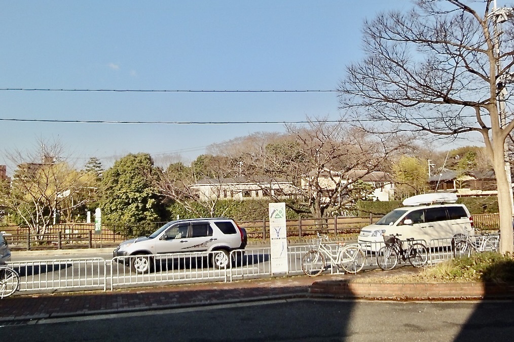 20101229左京区02