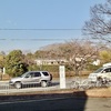 20101229左京区02