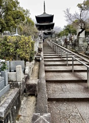 20230325左京区30