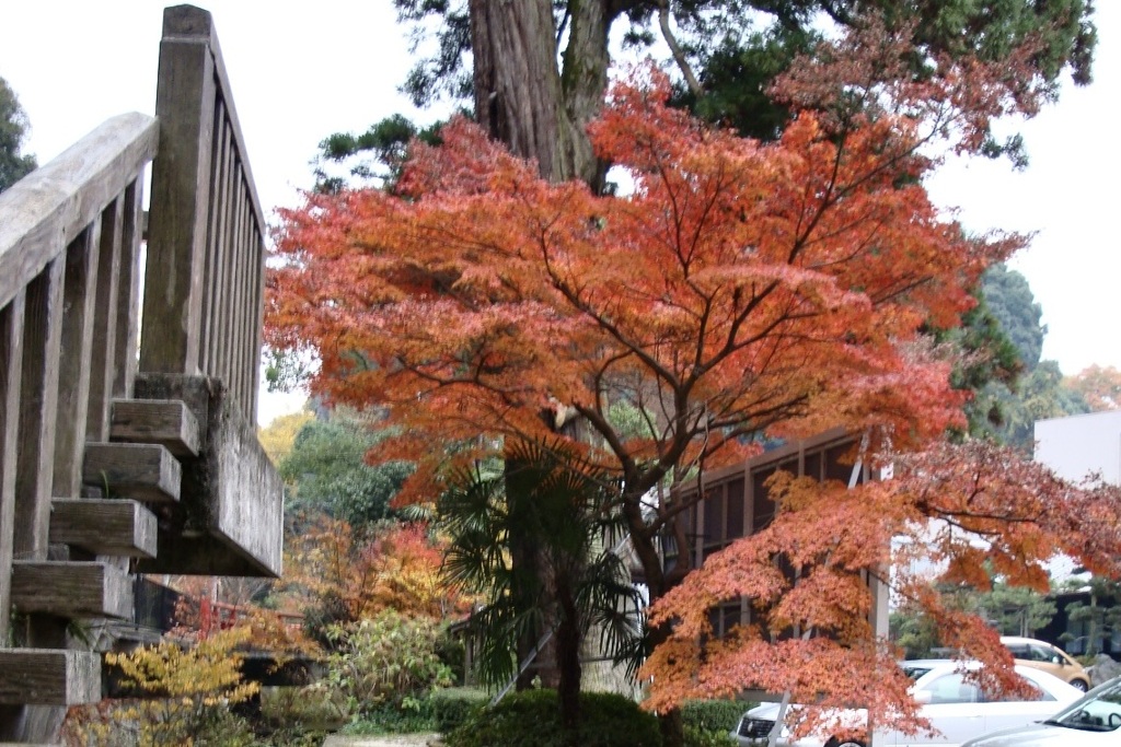 20091128河内長野市14