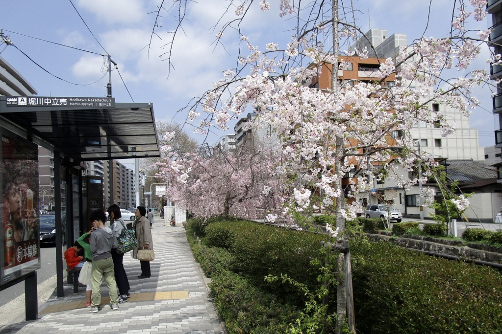 20180401上京区04