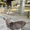 20091230奈良市03
