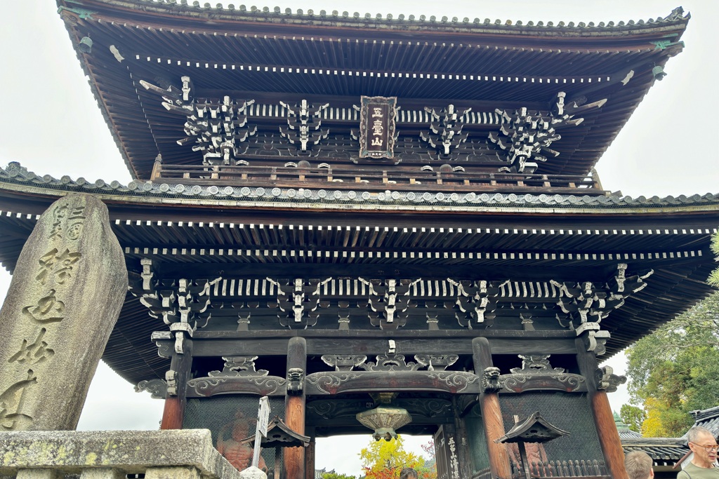 20241117右京区04