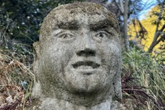 20240104右京区35