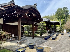 20240415右京区01