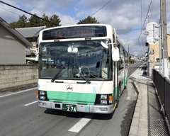 20150118奈良市10